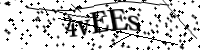 Por favor, escriba las letras y los números siguientes