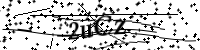 Por favor, escriba las letras y los números siguientes